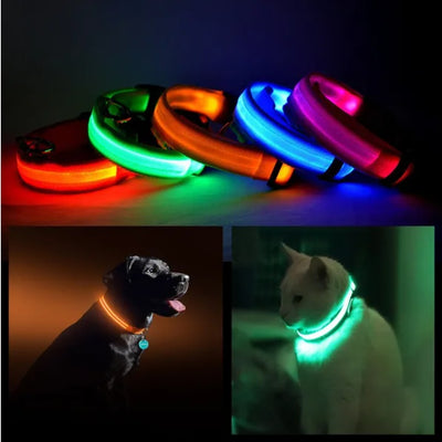 LED Flashing Pet Collar for Night Walks – Halo Safety Light Collar for Dogs & Cats