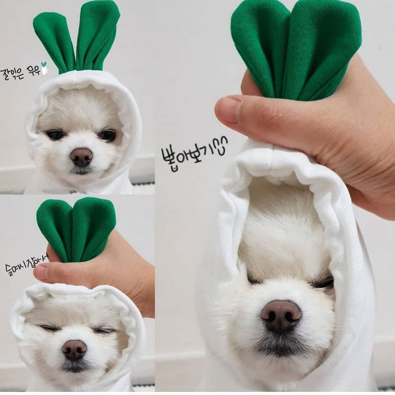 Fleece Dog Hoodie Sweater for Small Breeds – Cute Fruit Design Winter Warm Pet Clothing