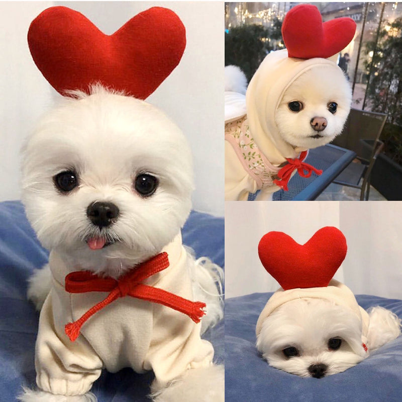 Fleece Dog Hoodie Sweater for Small Breeds – Cute Fruit Design Winter Warm Pet Clothing