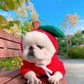 Fleece Dog Hoodie Sweater for Small Breeds – Cute Fruit Design Winter Warm Pet Clothing