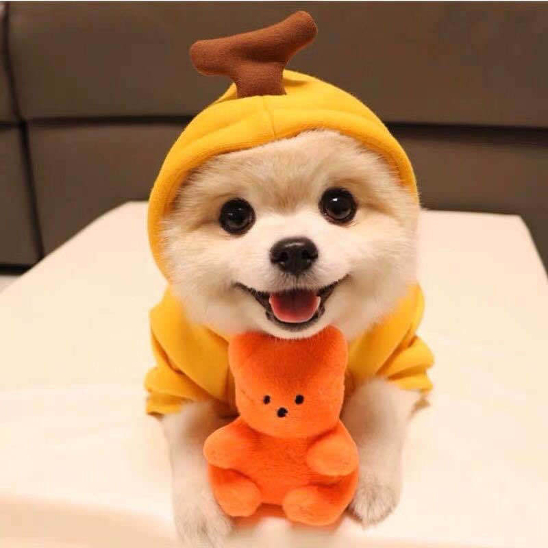 Fleece Dog Hoodie Sweater for Small Breeds – Cute Fruit Design Winter Warm Pet Clothing