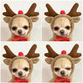 Fleece Dog Hoodie Sweater for Small Breeds – Cute Fruit Design Winter Warm Pet Clothing