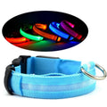 LED Flashing Pet Collar for Night Walks – Halo Safety Light Collar for Dogs & Cats