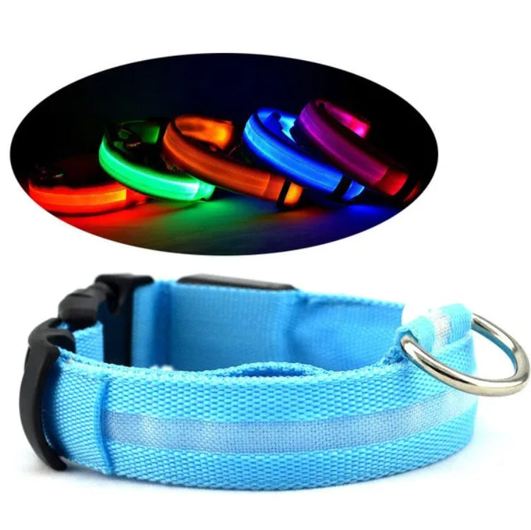 LED Flashing Pet Collar for Night Walks – Halo Safety Light Collar for Dogs & Cats