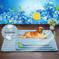 Ice Silk Pet Cooling Pad for Dogs & Cats – Summer Self-Cooling Nest Mat in 4 Sizes