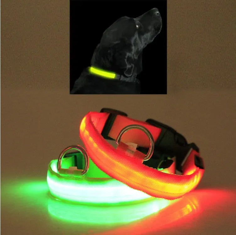 LED Flashing Pet Collar for Night Walks – Halo Safety Light Collar for Dogs & Cats