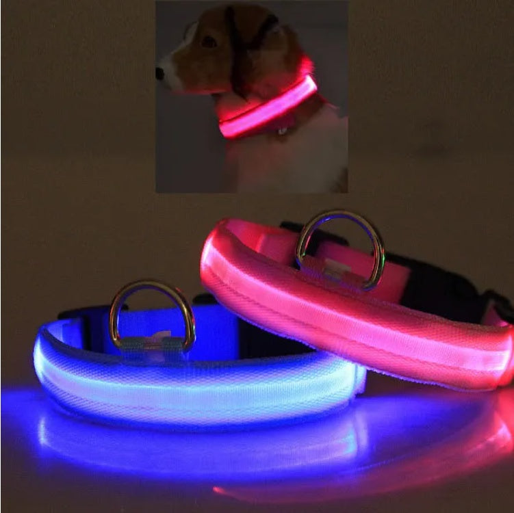 LED Flashing Pet Collar for Night Walks – Halo Safety Light Collar for Dogs & Cats