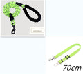 Reflective Dog Leash with Foam Handle – Heavy-Duty Nylon Lead for Small, Medium & Large Dogs