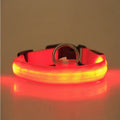 LED Flashing Pet Collar for Night Walks – Halo Safety Light Collar for Dogs & Cats