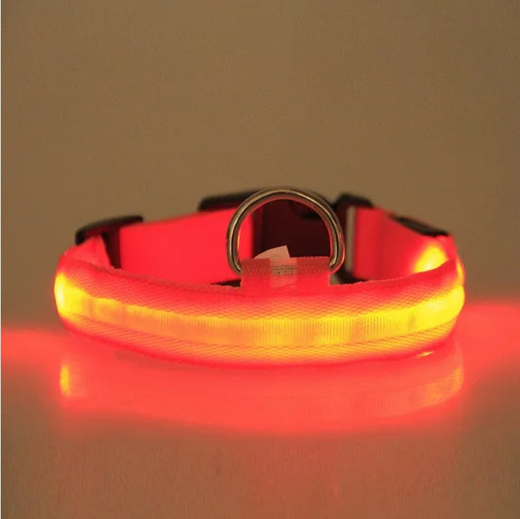 LED Flashing Pet Collar for Night Walks – Halo Safety Light Collar for Dogs & Cats