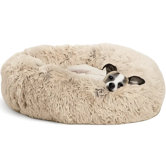 Pet Beds & Comfort