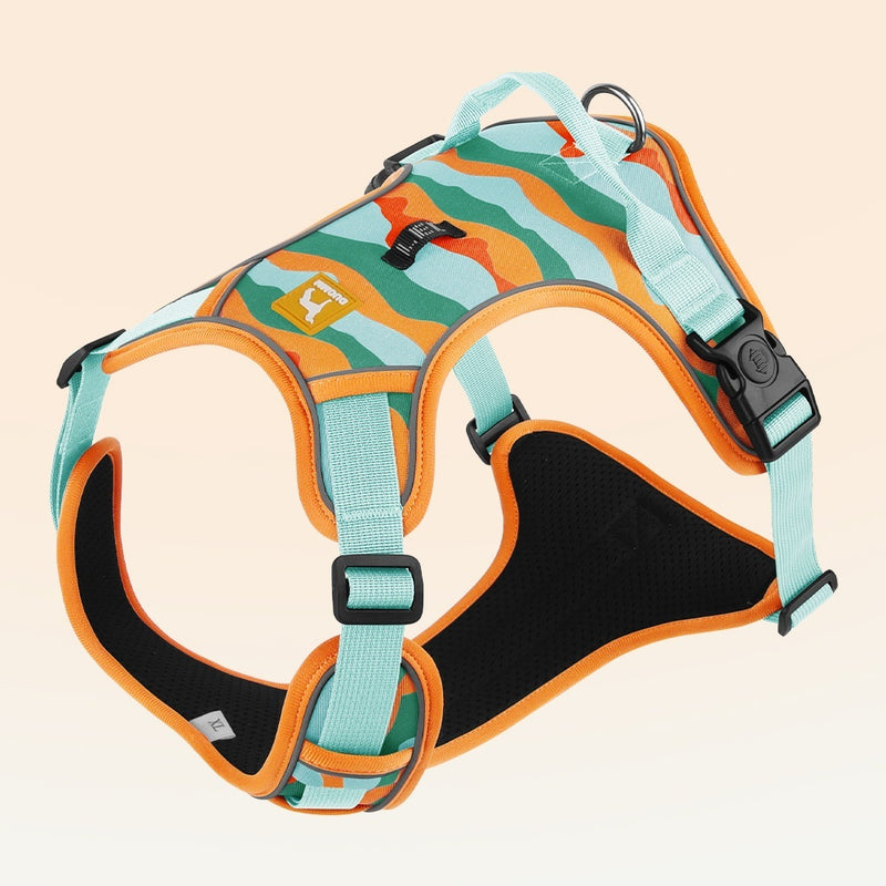 Dog Chest Harness with Reflective Leash – Durable Oxford Cloth Commuter Walking Rope
